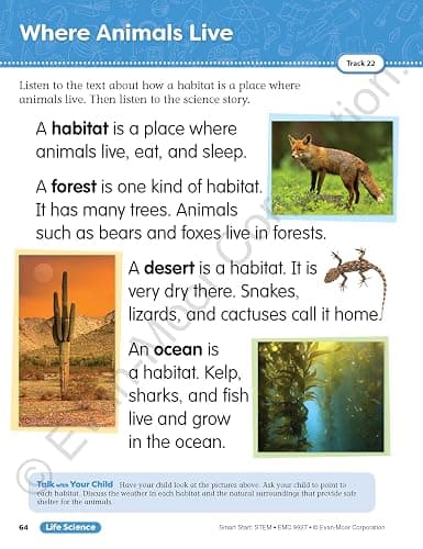 Evan-Moor Smart Start STEM Workbook, Grade 1, Science, Technology, Engineering, Math, Hands On Activities, Problem Solving, Critical Thinking, Fine Motor Skills, Sequencing, Animals, Homeschool thumbnail 4
