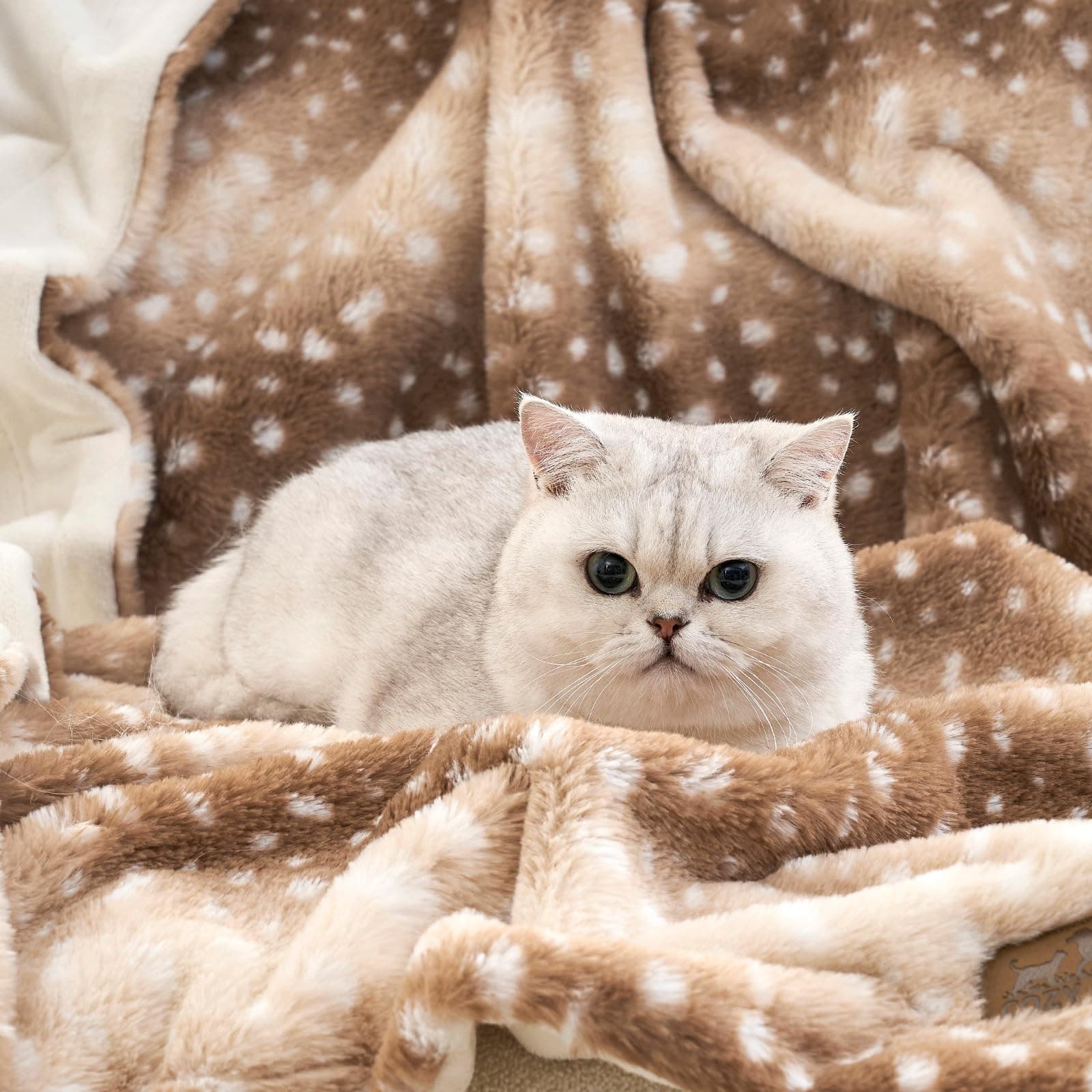 Cozy KISS Waterproof Pet Blanket, Soft Faux Fur Dog Blanket for Sofa Bed Couch, Liquid Pee Proof Throw for Puppy Cat Small Dog, Reversible Washable Plush, Double Sided, 30x40 in, Brown Deer Print thumbnail 7
