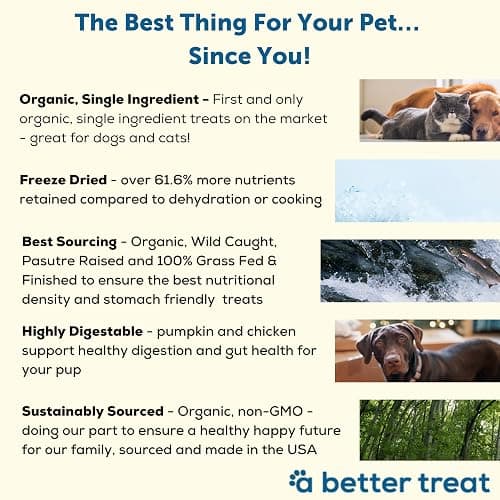 A Better Treat – Freeze Dried Organic Pumpkin, Wild Caught Salmon, Organic Grass Fed & Finished Pasture Raised Beef, Organic Chicken Dog and Cat Treats | Healthy, Diabetic Friendly | Made in The USA thumbnail 4