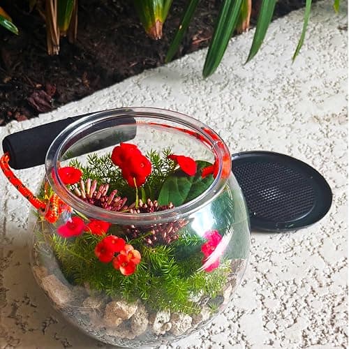 Dry Branch Sports Design Catch and Release Beach Aquarium Kit , Clear thumbnail 9