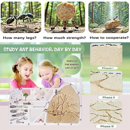 Ant Farm Castle - Large Viewing Area - Care for Live Ants - Ant Colony Observation Kits with Sand Habitat - Educational Science Gifts for Boys, Girls - Ant Farms for Kids, Adults, Student (Yellow) thumbnail 3