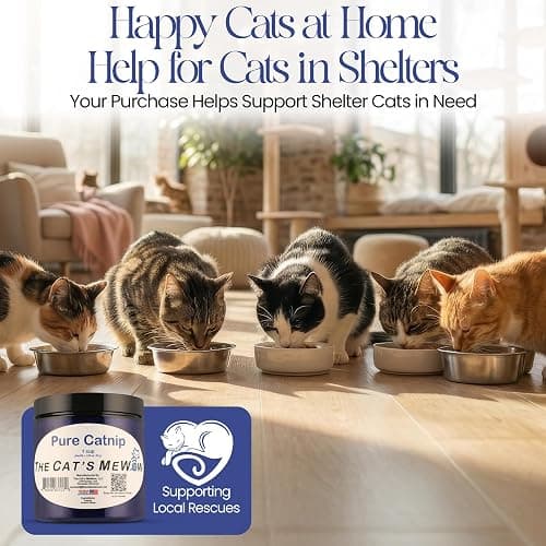 The Cat's MeWow 100% Pure Catnip – North American Grown – Strong Aroma for Play & Enrichment – Resealable Freshness Jar – Veteran-Owned Brand thumbnail 6