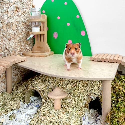 Niteangel Hamster Play Wooden Platform for Dwarf Syrian Hamsters Gerbils Mice Degus or Other Small Pets (Wave - 7'' Height, Burlywood) thumbnail 4