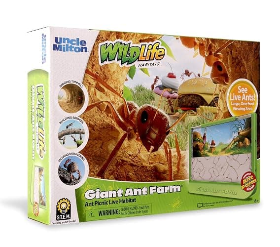 Uncle Milton Giant Ant Farm - Large Viewing Area - Care for Live Ants - Nature Learning Toy - Science DIY Toy Kit - Great Gift for Boys & Girls, Green thumbnail 3