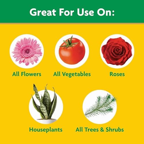 Miracle-Gro Water Soluble All Purpose Plant Food, For All Indoor or Outdoor Plants, Roses, Flowers, Vegetables, Houseplants, Trees, and Shrubs, 1.5 lbs thumbnail 4