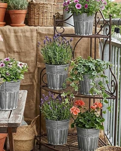 vensovo 5 Inch Galvanized Bucket Planter - 6 Pack Metal Flower Pots with Drainage Holes & Plugs, Rustic Silver Tin Pots for Indoor Herbs, Outdoor Succulents, Farmhouse Home Garden Decor thumbnail 6