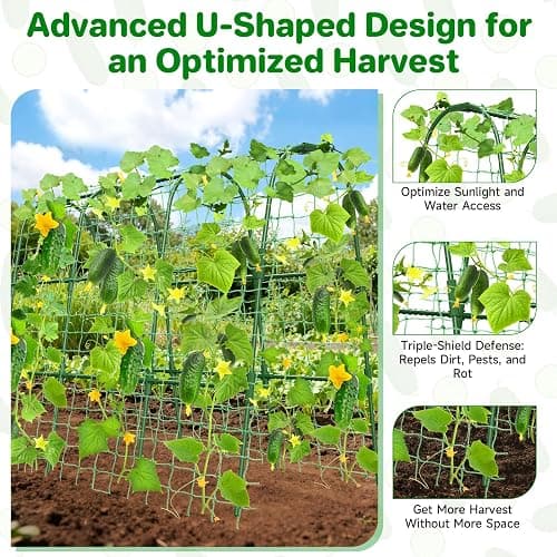 Cucumber Trellis for Raised Bed, U-Shape Garden Trellis for Climbing Plants Outdoor, Metal Arch Trellis for Vegetables, Plant Support for Tomato, Pea, Zucchini (47.2" L×30" W×47.2" H-Medium) thumbnail 2
