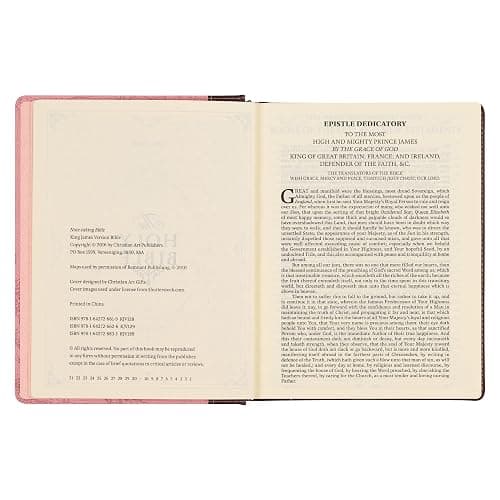 KJV Holy Bible, Note-taking Bible, Faux Leather Hardcover - King James Version, Brown/Pink (KJV Note-taking Editions) thumbnail 10