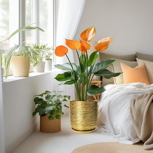 SUNPOTFOR Ceramic Flower Pot for Indoor Plants - 10 Inch Plant Pot with Drainage Hole and Saucer, Decorative Round Outdoor Indoor Planter, Housewarming Gifts, Home Garden Decor, Gold thumbnail 2