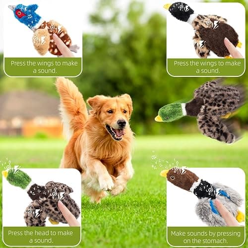 Calibonbon Dog Squeaky Toy Set – 4-Pack Durable Plush Duck, Pheasant, Goose for Small and Medium Dogs – Soft Bird Chew Toys with Crinkle Sound for Puppy Play, Interactive Training thumbnail 5
