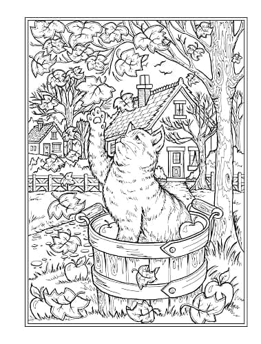 Creative Haven Autumn Harvest Coloring Book (Adult Coloring Books: Seasons) thumbnail 7