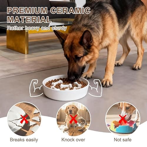 Fancy Lemon Ceramic Slow Feeder Dog Bowls, Ceramic Slow Feeder Maze Dog Food Bowl, Slow Eating Dog Bowl and Slow Feeder Dog Bowl Anti-Choking for Daily Pet Feeding （White Bone） thumbnail 4