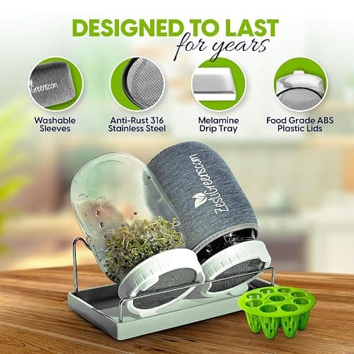 Premium Seed Sprouting Kit & Green Onion Regrower – 2 Wide-Mouth Mason Jars with Sprout Lids, Stainless Stand, Drain Tray, Blackout Sleeves & Cleaning Brush for Broccoli, Alfalfa & Mung Beans thumbnail 6