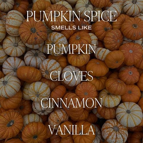 Sweet Water Decor Pumpkin Spice Candle - Fall Candles with Pumpkin, Clover, Cinnamon & Vanilla Scent for Home - Pumpkin Candle with 50 Hours Burn Time - 11Oz Wood Lid White Jar Soy Candles thumbnail 4