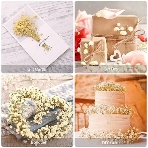 beerfingo 3000+ Dried-Babys-Breath-Bouquet-17.2 inch Dried Flowers, Natural Gypsophila Branches for Home Decor, Wedding, Table Decor, DIY Wreath Floral, Dry Flowers Bulk for Vase (Off White) thumbnail 5
