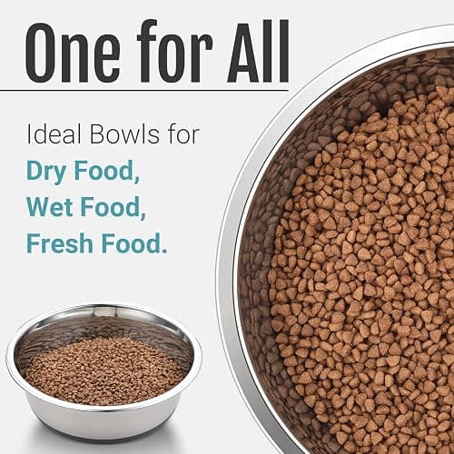PEGGY11 Nonslip Stainless Steel Dog Cat Bowls, 2 US Cup Each, 2 Pack | No slide silicone bottom, Dishwasher safe, Easy to clean, Stackable design thumbnail 7