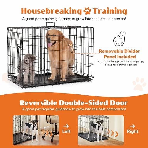 Sweetcrispy 36 Inch Dog Crate, Medium Dog Cage, Foldable Puppy Pet Kennel | Double Door, Metal Kennel, Secure Lock, Removable Tray, Indoor Outdoor Training Travel thumbnail 4