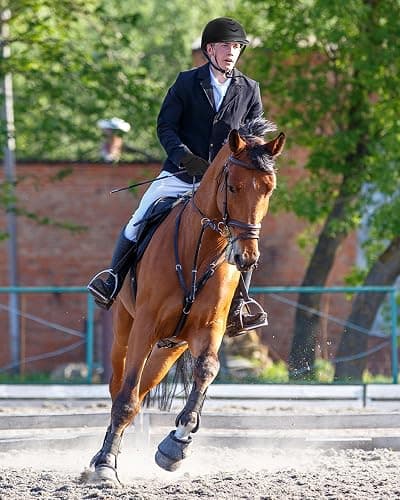 Adult Horse Riding Helmet Adjustable Vented Men Women 22"-24"/56-61cm | ASTM F1163-23 Certified, Adjustable Fit, Vented Construction, Washable Liner, Lightweight Build thumbnail 9