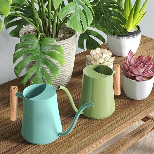 Watering Can Indoor Plants 35oz Sage Green Water Can Indoor Metal Small Water Can Pot with Long Spout for House Bonsai Plants Garden Flower Decorative thumbnail 7
