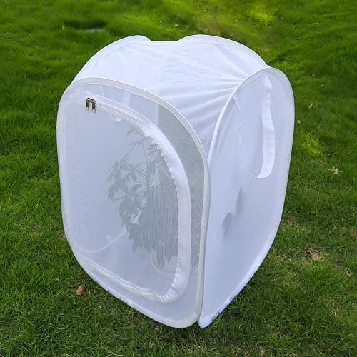 Pop-up Insect and Butterfly Habitat Cage Terrarium Clear Mesh Enclosure - 16" x 16" x 24" thumbnail 7