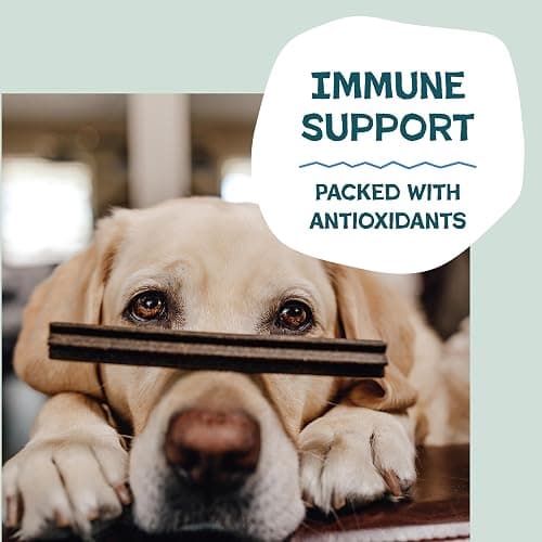 Shameless Pets Blueberry & Mint Dental Chews for Dogs, 8 Chews - Natural Dog Teeth Cleaning Treats with Fresh Breath Benefits | Grain-Free Dental Sticks for Small, Medium & Large Dogs thumbnail 5