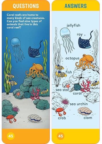 Brain Quest Kindergarten Smart Cards Revised 5th Edition (Brain Quest Smart Cards) thumbnail 6