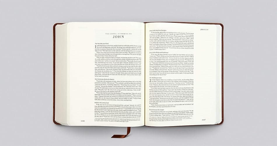 ESV Single Column Journaling Bible (TruTone, Chestnut, Leaves Design): Holy Bible, English Standard Version thumbnail 5