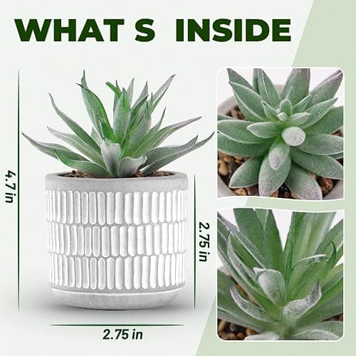 Der Rose Set of 2 Succulents Plants Artificial Fake Cactus Plants for Living Room Bathroom Bedroom Aesthetic Home Shelf Decor thumbnail 3
