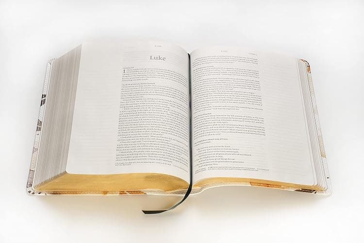 NLT Wide Margin Bible, DaySpring Signature Collection, Filament Enabled (LeatherLike, Autumn Leaves, Red Letter): DaySpring Signature Collection thumbnail 9