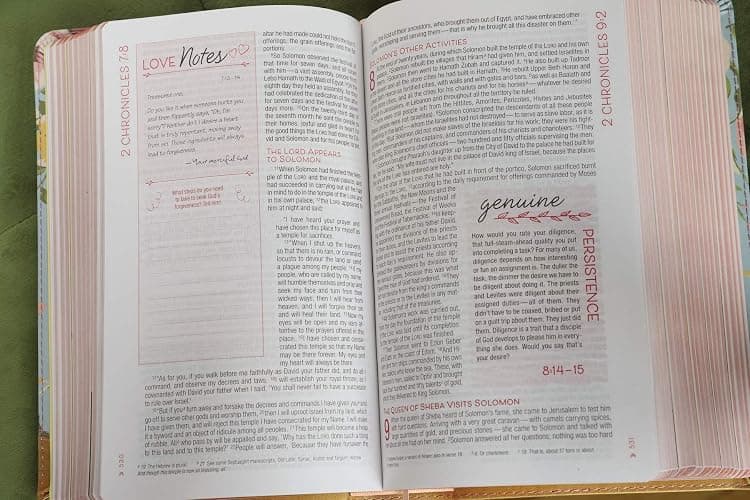 NIV, True Images Bible, Leathersoft, Teal/Gold: The Bible for Teen Girls thumbnail 11