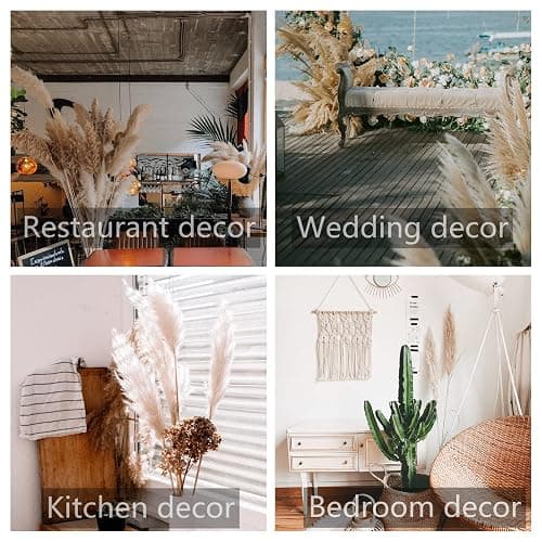 46" inch 10 Stems Natural Pampas Grass Decor Tall, Pompas Grass, Tall Pampas Grass for Weddingm, Farmhouse, Boho Home Decor (Beige) thumbnail 7