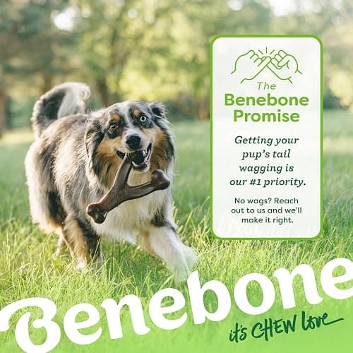 (3 Pack) Benebone wishbones dog chew toy thumbnail 6
