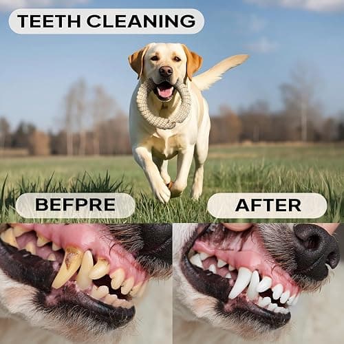 PetiFine Chew Toys for Dogs 4 Pack, Dog Rope Toy for Aggressive Chewers, Interactive Rope Ball Natural Cotton, Dog Tug of War Toy for Teeth Cleaning thumbnail 5