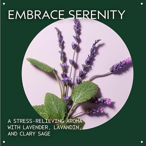 Aveda Stress-Fix Concentrate Rollerball | Shown to Reduce Feelings of Stress | with Aroma of Lavender, Lavandin, Clary Sage, 0.24 Fl Oz thumbnail 3