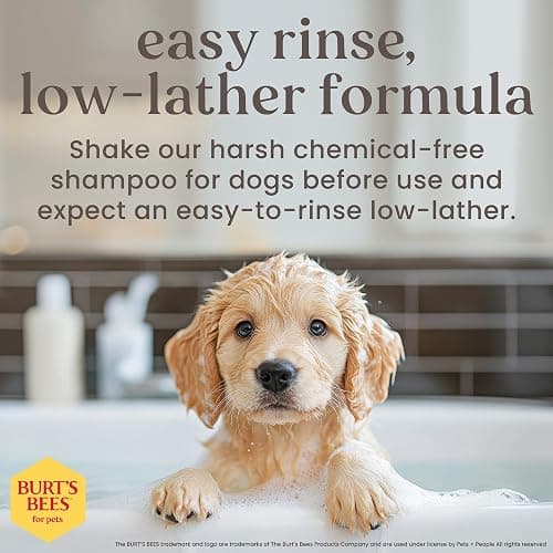 Burt's Bees for Puppies Natural Tearless 2 in 1 Shampoo and Conditioner | Made with Buttermilk and Linseed Oil | Best Tearless Puppy Shampoo for Gentle Skin and Coat | Made in USA, 16 Oz thumbnail 4