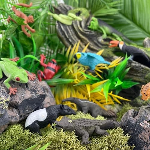 Safari Ltd. Rainforest TOOB - 11 Figurines: Macaw, Frogs, Toucan, Iguana, Monkey, and More - Educational Toy Figures For Boys, Girls, and Kids Ages 3+ thumbnail 2
