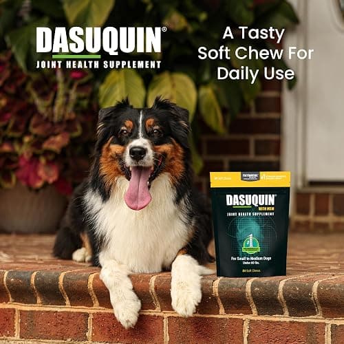 Nutramax Laboratories Dasuquin with MSM Soft Chews Small/Medium Dog 84 Count, brown thumbnail 4