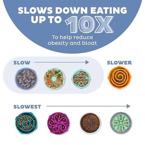 Outward Hound Medium Slow Feeder Bowl, Puzzle Maze for Fast Eaters, Small to Medium Dogs, Helps Prevent Bloat & Aid Digestion, Holds 2 Cups Wet or Dry Food, Non-Slip, Made Without BPA, Blue thumbnail 4
