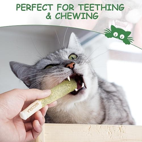 Nocciola 3 Pack Catnip Toys for Cats, Funny Cat Toys Filled with 100% Pure Organic Catnip, Safe Kitten Teething Chew and Kicker Toys, Stress Relieving Fun for Indoor Cats thumbnail 5