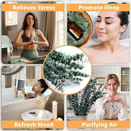 12PCS Dried Eucalyptus for Shower Hanging - 17'' Real Large Preserved Eucalyptus Stems Green Home Decor, 100% Made from Fresh Eucalyptus Leaves, Bathroom Shower Decor, Wedding, DIY thumbnail 4