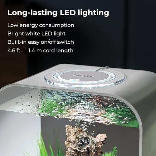 biOrb Life 15 Acrylic 4-Gallon Aquarium with White LED Lights Modern Compact Tank for Tabletop or Desktop Display, Transparent thumbnail 5