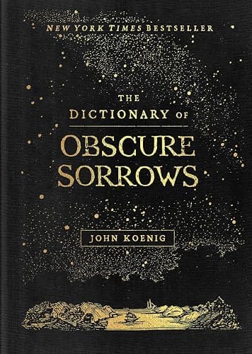 The Dictionary of Obscure Sorrows - Image 1