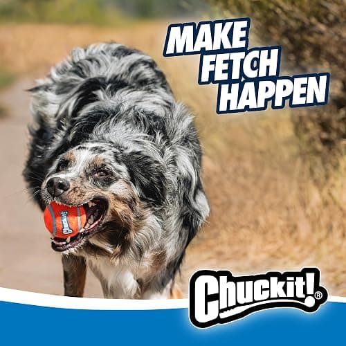 Chuckit! Dog Ball Launcher - Sport 12" with Medium (2.5"), Dog Fetch Ball Thrower, For Dogs 20-60 Pounds, Made in USA thumbnail 9