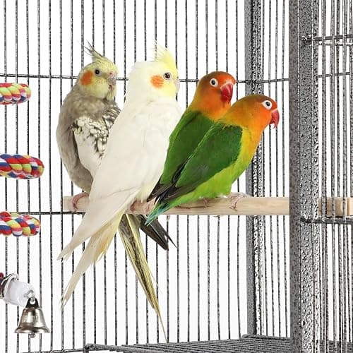 Yaheetech Large African Grey Parrot Bird Cage for Budgies/Conures/Parakeets with Detachable Stand thumbnail 8