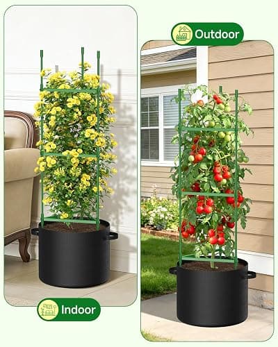 MQJIAZHI 4 Pack Tomato Cages, Triangle Tomato Trellis with 17 Gallon Grow Bags, Tomato Plant Support Stakes for Garden Climbing Vegetables Flowers Fruits thumbnail 6