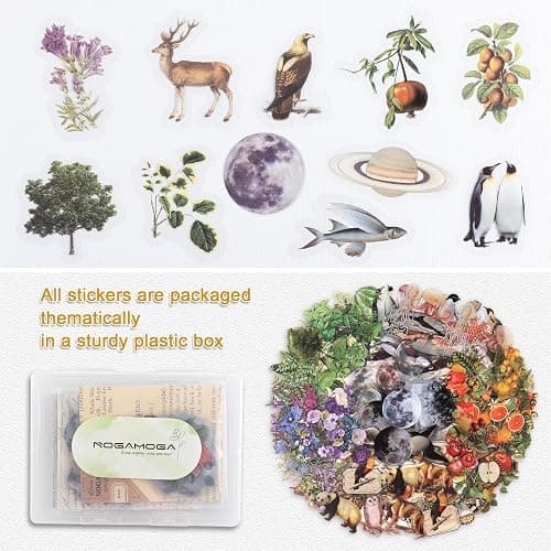 NOGAMOGA Nature Themed Transparent Pre-Cut Stickers for Scrapbooking, Pack of 240, Flora and Fauna Vintage Aesthetic Decorative Decals for Journaling Photo Album Collage Card Making Crafts thumbnail 8