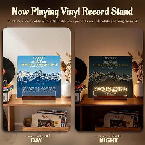 Now Playing Vinyl Record Stand up thumbnail 9