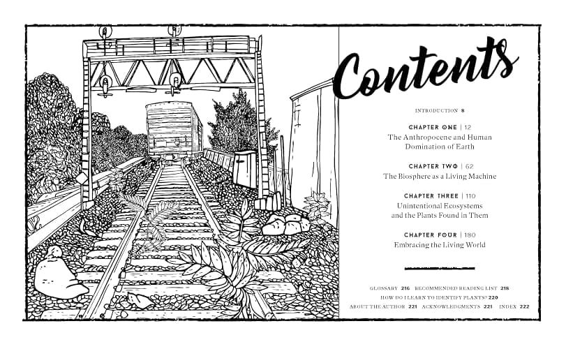 Concrete Botany: The Ecology of Plants in the Age of Human Disturbance thumbnail 5