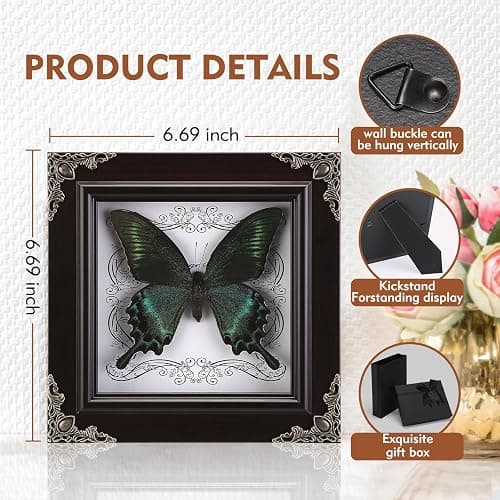 Real Butterfly Framed Handmade, Taxidermy Butterfly Shadow Box Collection, Framed Butterfly Taxidermy for Gothic Home Decor (A_Green-Banded Queen Butterfly) thumbnail 3