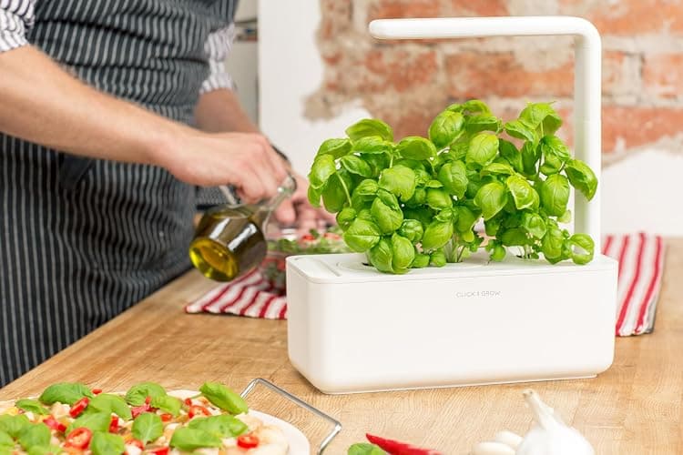Click & Grow Indoor Herb Garden Kit with Grow Light | Smart Garden for Home Kitchen Windowsill | Easier Than Hydroponics Growing System | Vegetable Gardening Starter (3 Basil Pods Included), White thumbnail 2